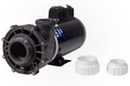 Gecko Aqua Flo XP2E 3 HP 2 Speed 56 Frame - 2.5" Intake 2" Discharge Pool Pump - 05334024-5040