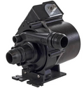 Grundfos Circulation 115 Volts Pool Pump - 10-0134