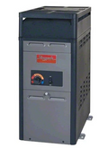 Raypak 105,000 BTU Propane Heater - 014781