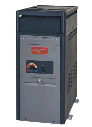 Raypak 105,000 BTU Propane Heater - 014781