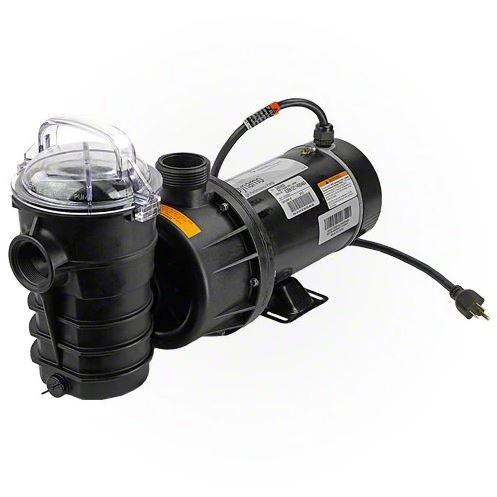 Pentair Dynamo 2 HP Pump - 340219