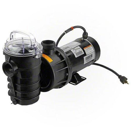 Pentair Dynamo 1.5 HP 2 Speed Pump - 340400