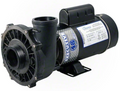 Waterway Executive 2 HP Single Speed 48 Frame 2" Pool Pump - 3410830-1A