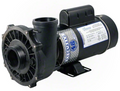 Waterway Executive 4 HP Single Speed 48 Frame 2" Pool Pump - 3411621-1A