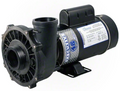 Waterway Executive 1.5 HP 2 Speed 48 Frame 230V Pump - 3420620-1A