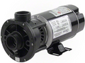 Waterway Center Discharge 2 Horsepower Dual Speed 48 Frame Pool Pump 3420820-15