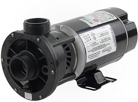 Waterway Center Discharge 2 Horsepower Dual Speed 48 Frame Pool Pump 3420820-15
