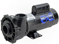 Waterway Executive 3.0 HP 2 Speed 48 Frame 2" Intake Pool Pump 3421221-1A