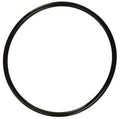 Pentair WhisperFlo IntelliFlo Strainer Cover O Ring (After 11/1998) - 350013