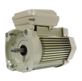 Pentair WhisperFlo 2 HP Pool Pump Motor - 354815S
