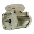 Pentair WhisperFlo 3 HP Pool Pump Motor - 354817S