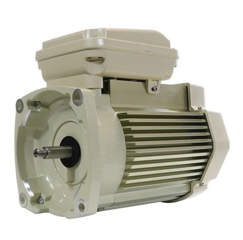 Pentair WhisperFlo 5 HP  Pool Pump Motor - 354819S