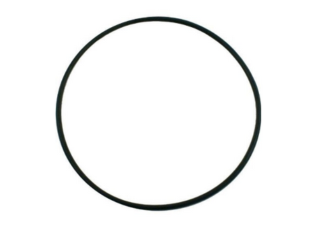 Pentair Seal Bracket O-Ring for Pool or Spa Pump - 355619