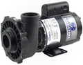 Waterway Executive 2.0 HP 2 Speed 56 Frame 2.5" Intake Pool Pump - 3720821-13