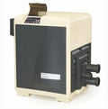 Pentair MasterTemp 300,000 BTU Propane Heater - 460735
