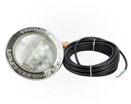 Pentair IntelliBrite 12V 100 ft. Cord White LED Pool Light - 601207