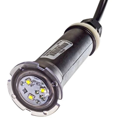 Pentair GloBrite White LED Light 30 Foot Cord - 602102