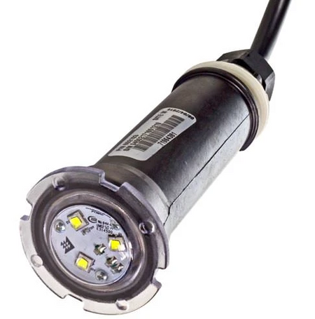 Pentair GloBrite White LED Light 30 Foot Cord - 602102