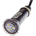 Pentair GloBrite White LED Light 100 Foot Cord - 602104