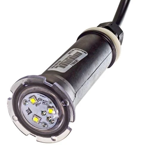 Pentair GloBrite White LED Light 150 Foot Cord - 602105