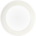Waterway Union Gasket 2.5" - 711-6020