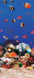 Swimline S-G Ocean Reef 52" Unibead Vinyl Liner 15' x 24' Oval - AG-LU-364920