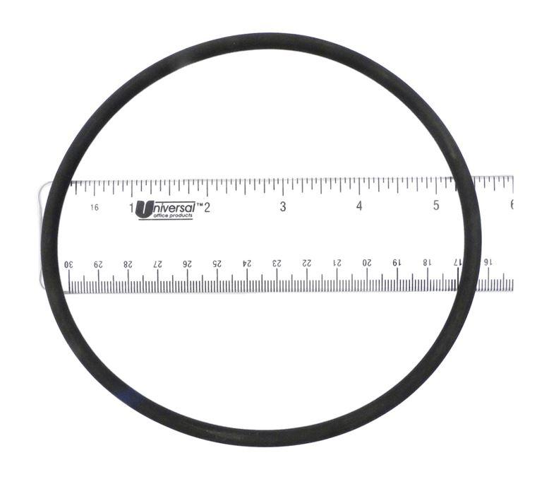 APC Hayward Lid O-Ring - CLX200K - APCO2423