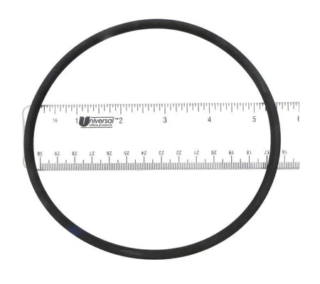 APC Hayward Lid O-Ring - CLX200K - APCO2423
