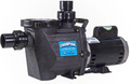 Waterway Champion In-Ground Pool Pump 1.5 HP 2 Speed 230v - CHAMPS 215