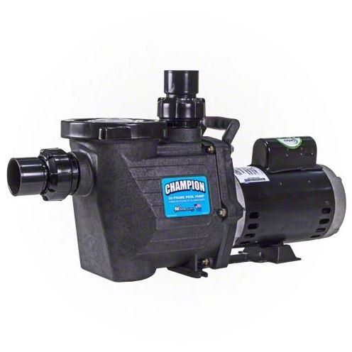 Waterway Champion 1 HP Pump - Energy Efficient - CHAMPE-110