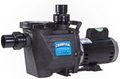 Waterway Champion In-Ground 1.0 HP Pool Pump - CHAMPS-110