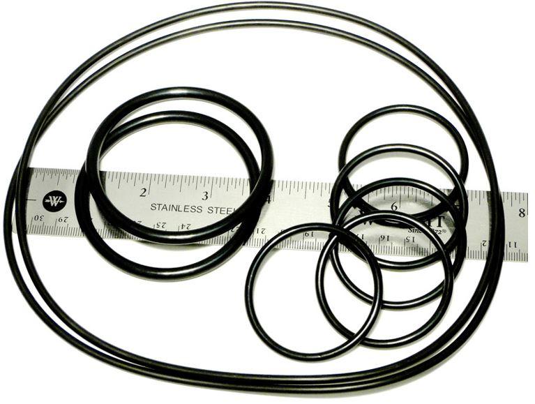 Caretaker O-Ring Kit - CT5131