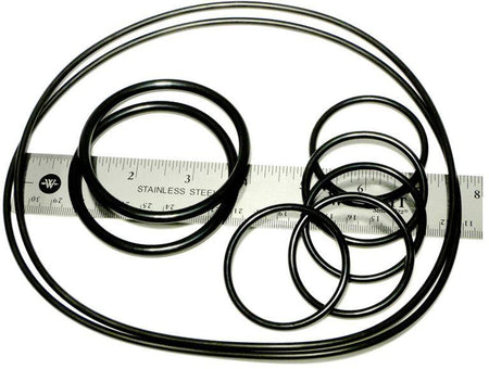 Caretaker O-Ring Kit - CT5131