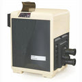 Pentair MasterTemp 300,000 BTU Heater - 460734