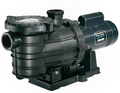 Sta-Rite Dyna-Pro .75 HP EE FR Pump - MPE6D-205L