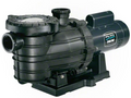 Sta-Rite Dyna-Pro 1 HP EE FR Pump - MPE6E-206L