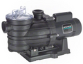 Sta-Rite Dyna-Wave 1/3 HP Pump - MPRA6B-202L