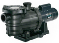 Sta-Rite Dyna-Pro 1 HP Pump - MPRA6E-205L
