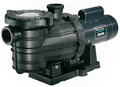 Sta-Rite Dyna-Pro 2 HP Pump - MPRA6G-207L
