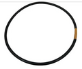Pentair Rainbow O Ring Lid To Housing - R172240