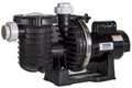 Sta-Rite Max-E-Pro 1 HP Up Rated EE Pump - P6EA6E-205L