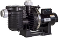 Sta-Rite Max-E-Pro .75 HP Pump - P6R6D-205L