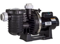 Sta-Rite Max-E-Pro 1 HP Up Rated Pump - P6RA6E-205L