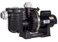 Sta-Rite Max E Pro 1.5 HP Up Rated Pump - P6RA6F-206L