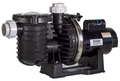 Sta-Rite Max E Pro 1.5 HP  EE   Two Speed Pump - P6RA6YF-206L