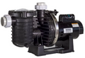 Sta-Rite Max-E-Pro 2 HP EE Two Speed Pump - P6RA6YG-207L