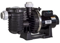 Sta-Rite Max E Pro 1-3/4 HP Up Rated Pump - P6RAA6F-216L