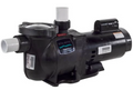 Sta-Rite SuperMax .5 HP EE Pump - PHK2E6C-100L
