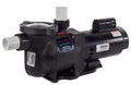 Sta-Rite SuperMax .75 HP EE Two Speed Pump - PHK2RAY6D-101L