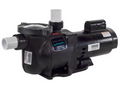 Sta-Rite SuperMax 1.5 HP EE Two Speed Pump - PHK2RAY6F-103L